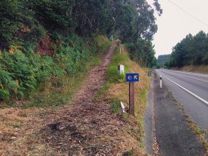camino4p5