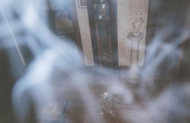 A smoky substance caught on film (and being looked at by the family dog) but not visible to the naked eye.
