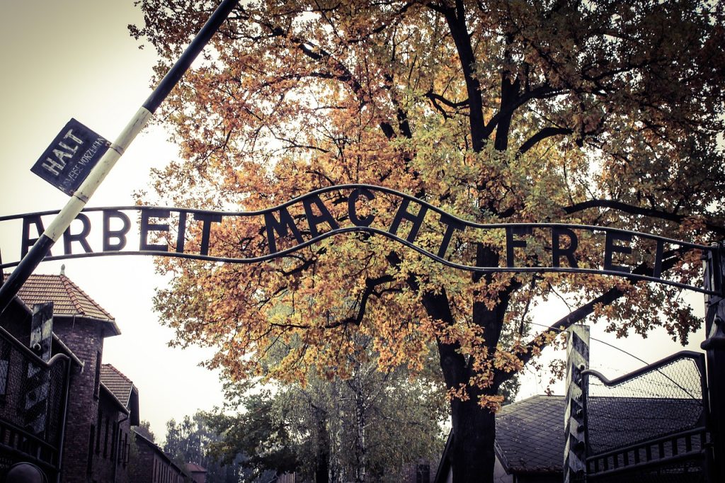auschwitz-485689_1280