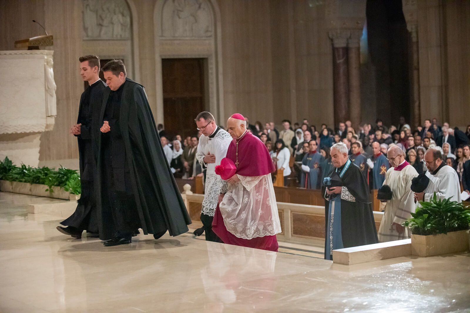 mass of the americas