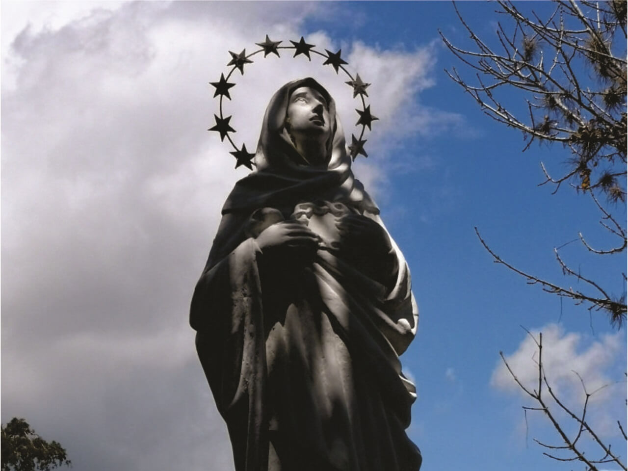 immaculate mary