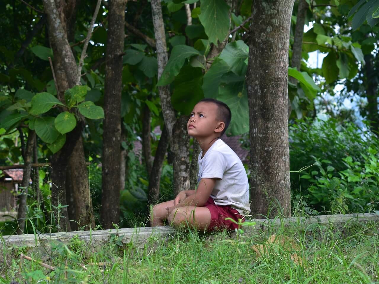 boy daydreaming hope