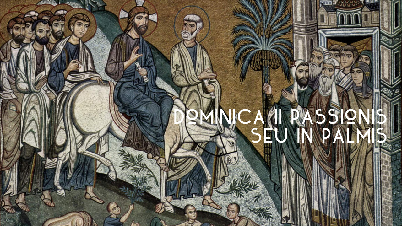 In Illo Tempore: Palm Sunday