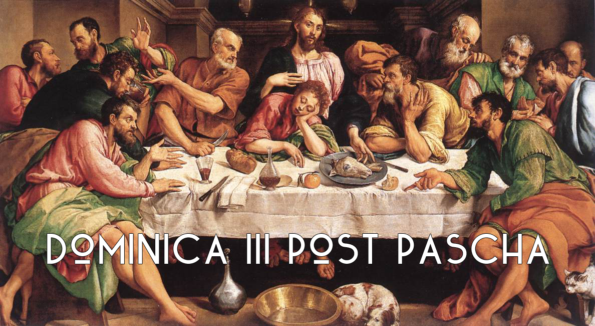 In Illo Tempore: 3rd Sunday after Easter