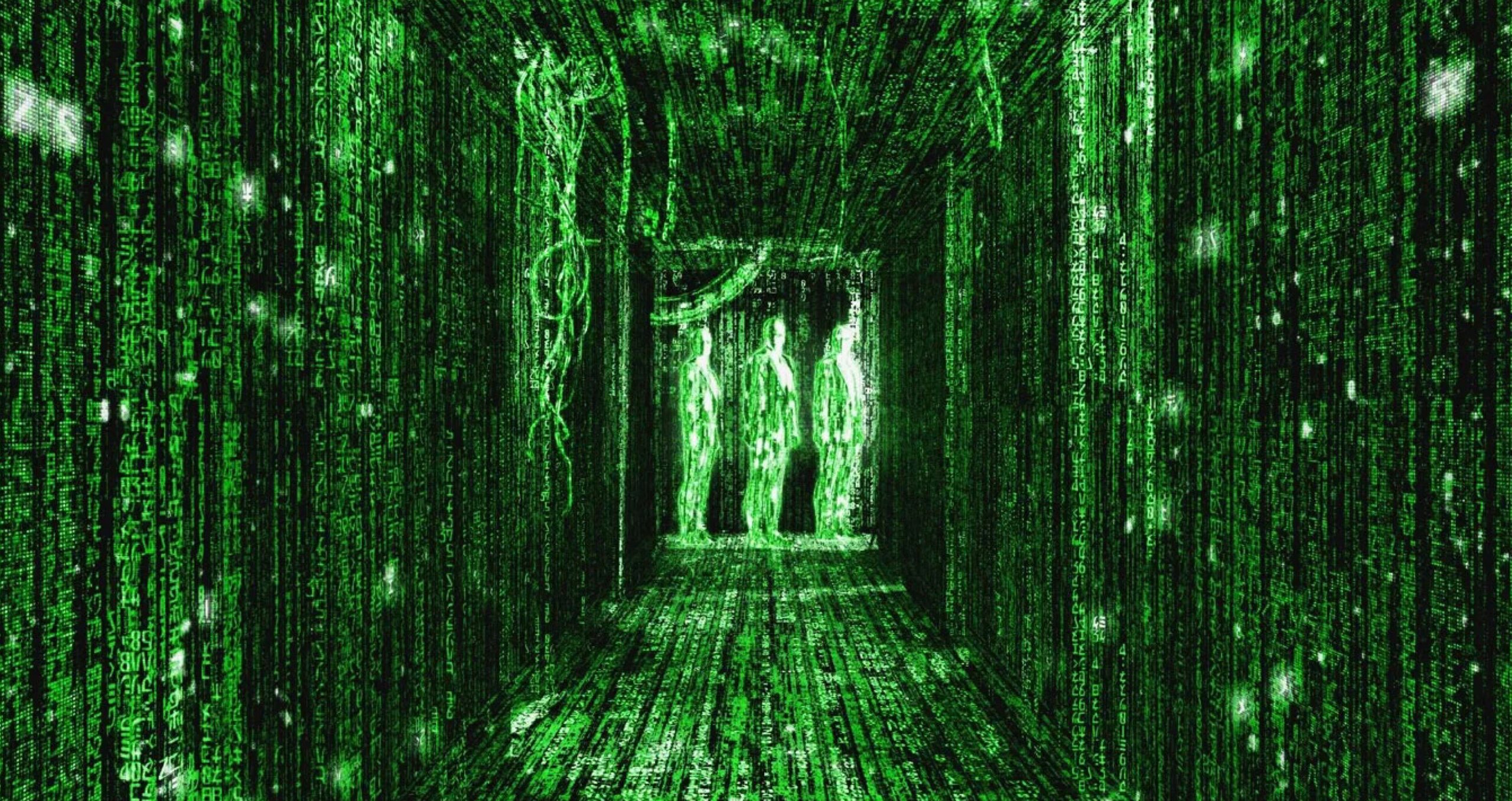 My Struggle as Editor of OnePeterFive