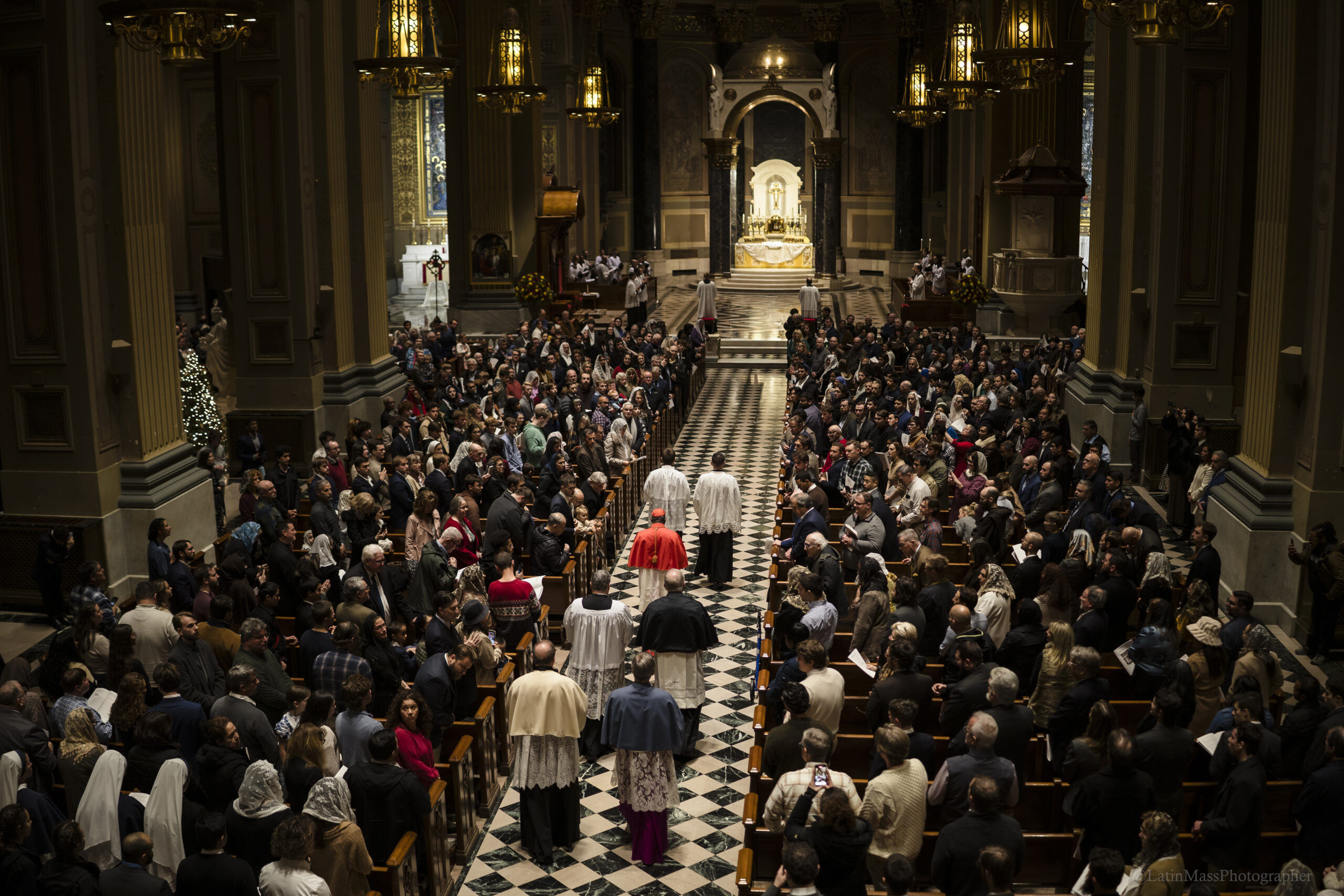 The Revival of Beauty is Possible